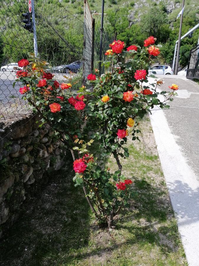 Apartmani Taki Mostar Exteriér fotografie